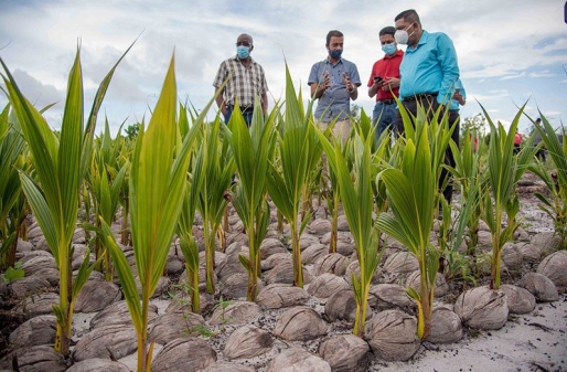 A local farmer engages Agriculture Minister, Zulfikar Mustapha, at a farm in Laluni (DPI photo) A local farmer engages Agriculture Minister, Zulfikar Mustapha, at a farm in Laluni (DPI photo)